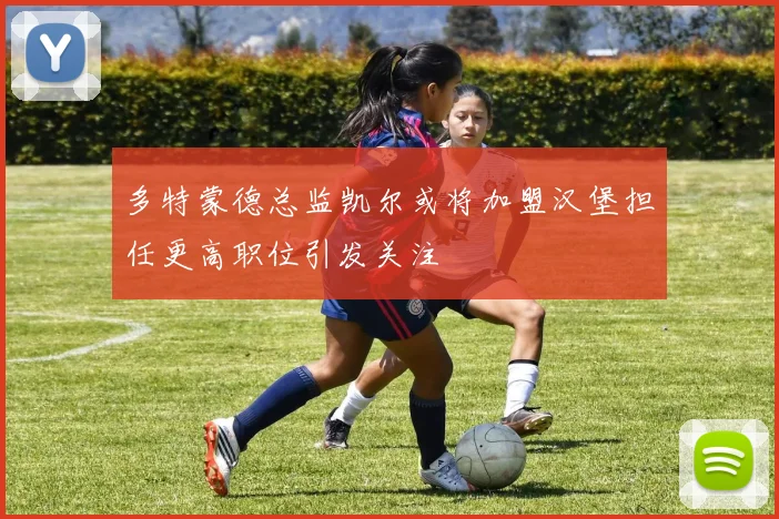 多特蒙德总监凯尔或将加盟汉堡担任更高职位引发关注