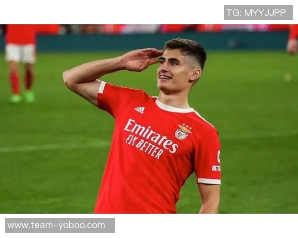 拜仁球探关注克罗地亚19岁右后卫霍达克引发媒体热议